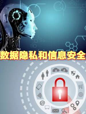 AI数据隐私技术方案全景解析