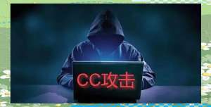 CC攻击对个人隐私保护的意义